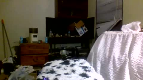 Richie Rich online show from 30, 12, 2024