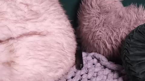 Snapshot of lireesa chatting on 2, 10, 2025 Lire online show from 2, 10, 2025