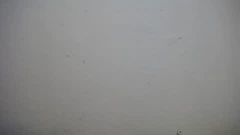 Snapshot of lisa_branch chatting on 3, 11, 2025 lisa_branch online show from 3, 11, 2025