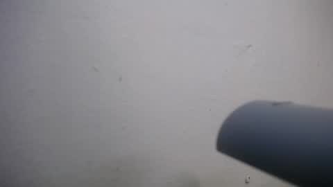 Snapshot of lisa_branch chatting on 4, 11, 2025 lisa_branch online show from 4, 11, 2025