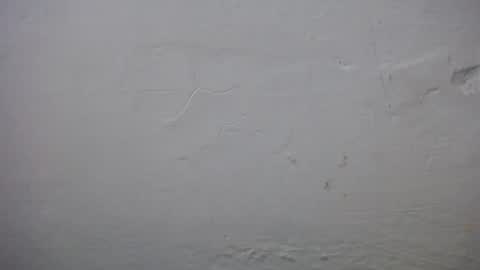 Snapshot of lisa_branch chatting on 23, 11, 2025 lisa_branch online show from 23, 11, 2025