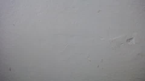 Snapshot of lisa_branch chatting on 20, 12, 2025 lisa_branch online show from 20, 12, 2025