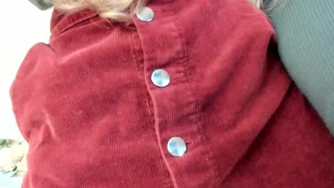 Snapshot of lissacain chatting on 30, 10, 2025 Lissa online show from 30, 10, 2025