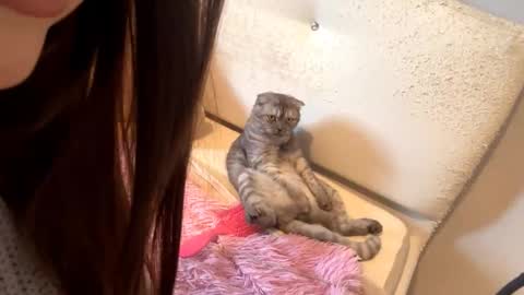 Catherine online show from 7, 10, 2025