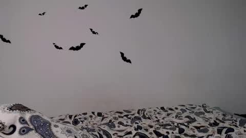 Snapshot of little_owlx chatting on 9, 11, 2025 Alice.. online show from 9, 11, 2025