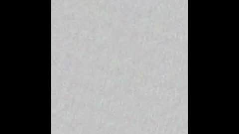 Snapshot of little_paw chatting on 20, 10, 2025 Adaline online show from 20, 10, 2025