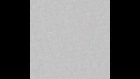 Snapshot of little_pearl_ chatting on 2, 2, 2026 Adaline online show from 2, 2, 2026