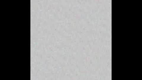 Snapshot of little_pearl_ chatting on 9, 2, 2026 Adaline online show from 9, 2, 2026