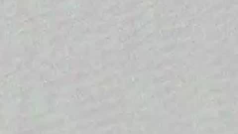 Snapshot of little_pearl_ chatting on 3, 4, 2026 Adaline online show from 3, 4, 2026