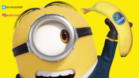 Pinky online show from 4, 12, 2024