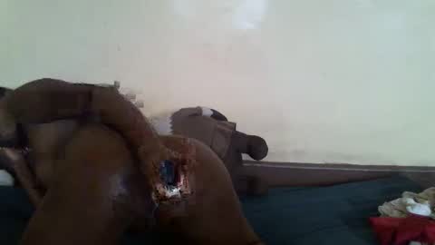 littlesandie online show from 10, 3, 2025