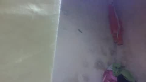 yanah online show from 11, 9, 2025