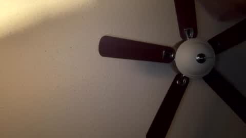 Snapshot of live_42dayonly chatting on 2, 8, 2026 selffuck online show from 2, 8, 2026