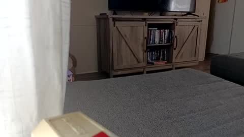 Snapshot of ljandcherry chatting on 11, 9, 2025 LjCherry online show from 11, 9, 2025