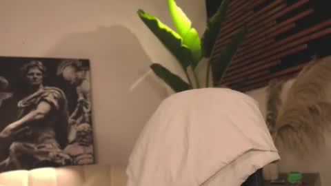 Snapshot of logan_varela chatting on 5, 2, 2025 logan_varela online show from 5, 2, 2025