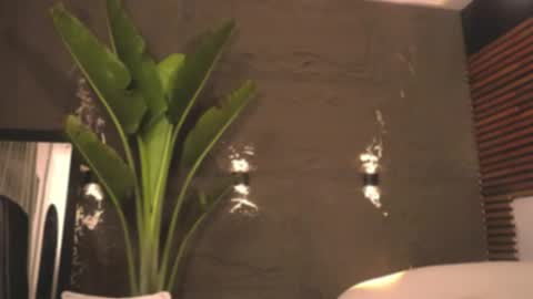 Snapshot of logan_varela chatting on 27, 2, 2025 logan_varela online show from 27, 2, 2025