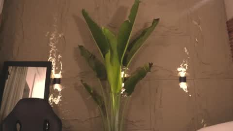 Snapshot of logan_varela chatting on 1, 3, 2025 logan_varela online show from 1, 3, 2025