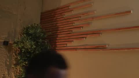 Snapshot of logan_varela chatting on 16, 10, 2025 logan_varela online show from 16, 10, 2025