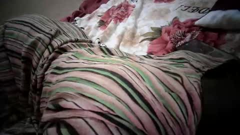 Snapshot of lolly_sexxy chatting on 6, 2, 2026 lolly_sexxy online show from 6, 2, 2026