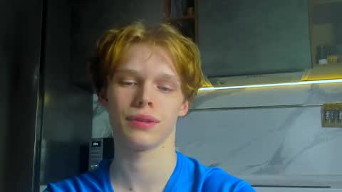 Snapshot of lolnoillimsary chatting on 26, 4, 2026 Nelis online show from 26, 4, 2026