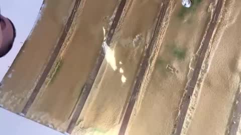 londonsbigbenxxx online show from 30, 9, 2025