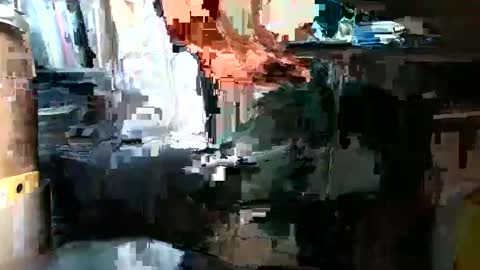 Snapshot of lonelypumabreizh chatting on 2, 2, 2025 Pumabreizh online show from 2, 2, 2025
