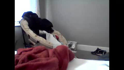 how can i plz u online show from 13, 1, 2026