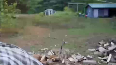 Snapshot of longtimerambler chatting on 11, 10, 2025 longtimerambler online show from 11, 10, 2025