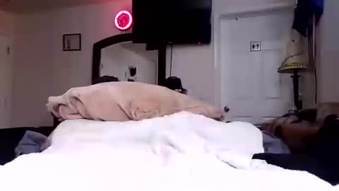 lookatmecum4you online show from 17, 10, 2025