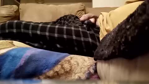 Snapshot of looking4bush chatting on 13, 1, 2026 looking4bush online show from 13, 1, 2026