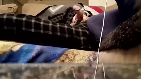 Snapshot of looking4bush chatting on 18, 3, 2026 looking4bush online show from 18, 3, 2026