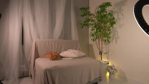 Lorrie online show from 24, 11, 2025