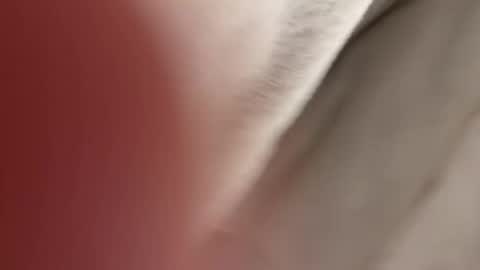 Snapshot of lost_surprise chatting on 14, 4, 2026 lost_surprise online show from 14, 4, 2026