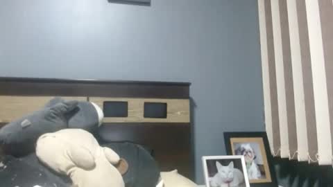 Louis bear online show from 16, 11, 2025