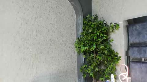 Louis online show from 25, 11, 2025