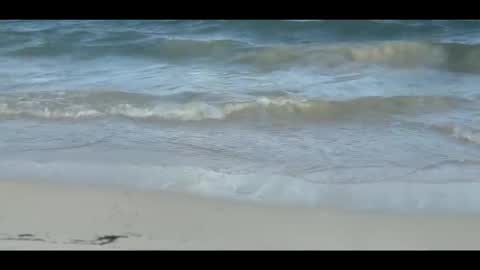 Snapshot of louis_zh chatting on 5, 11, 2025 Louis online show from 5, 11, 2025