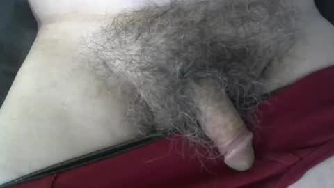 loveabush49 online show from 26, 9, 2025