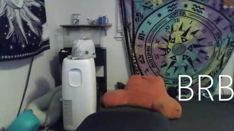 Bigtitsgirl113 online show from 18, 1, 2025