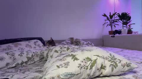 Snapshot of lovelorn_ chatting on 14, 11, 2025 Elsa online show from 14, 11, 2025