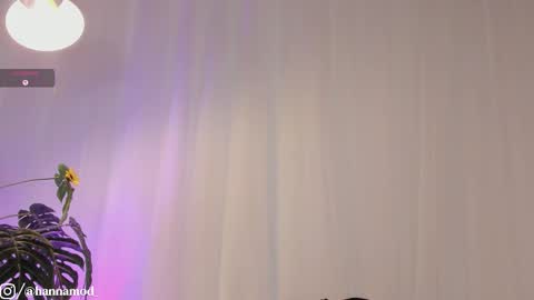    online show from 25, 11, 2025