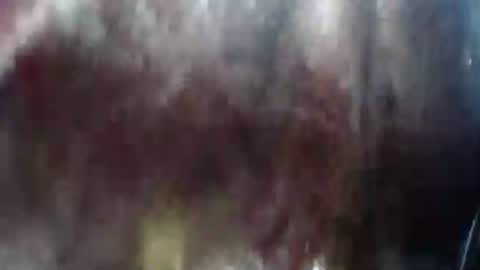 Mature lover2 online show from 21, 2, 2025