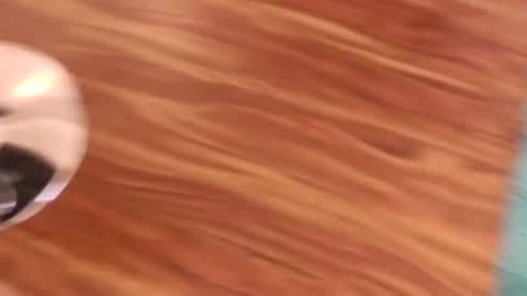 lovingcouple1969 online show from 7, 2, 2026