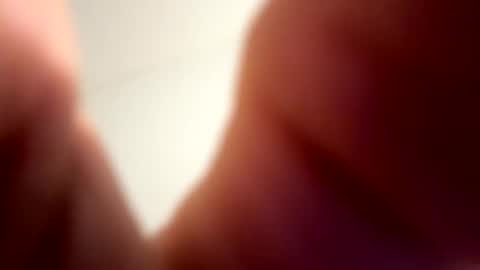 low8911 online show from 21, 2, 2026