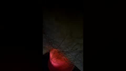 Snapshot of ls170955 chatting on 7, 7, 2026 lateralus online show from 7, 7, 2026