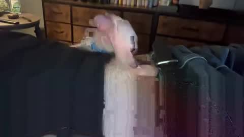 Snapshot of lubthemtitties chatting on 22, 12, 2024 lubthemtitties online show from 22, 12, 2024