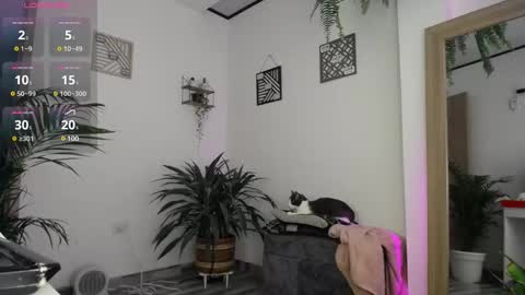 Snapshot of luciiana_lol chatting on 25, 2, 2025 luciiana online show from 25, 2, 2025