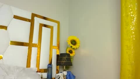 Snapshot of luckyy003 chatting on 7, 3, 2025 brielle online show from 7, 3, 2025