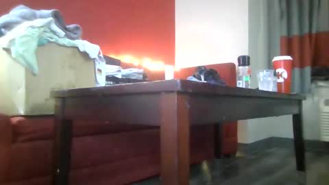 Snapshot of lucyloveslookers78240 chatting on 15, 1, 2025 Lucy Loves Lookers online show from 15, 1, 2025