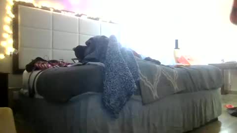 Snapshot of lucyloveslookers78240 chatting on 20, 1, 2025 Lucy Loves Lookers online show from 20, 1, 2025