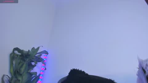 Snapshot of lucyshen_ chatting on 7, 11, 2025 luciana online show from 7, 11, 2025